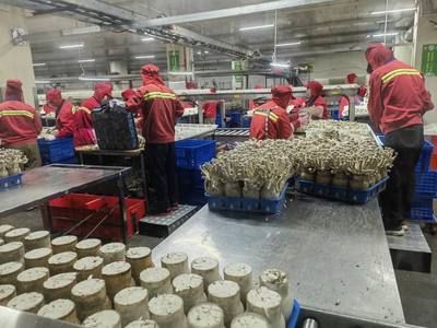 市農(nóng)業(yè)農(nóng)村局局長于靈才帶隊赴廈門開展招商引資 促進(jìn)農(nóng)業(yè)貿(mào)易合作